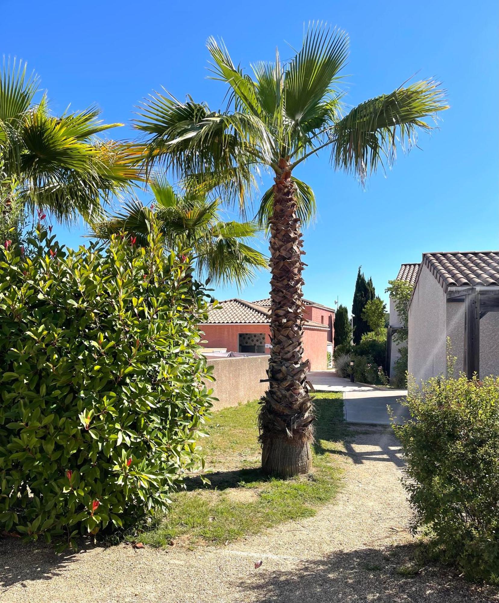 Terres De France - Le Domaine De Bacchus Hotel Saint-Christol  ภายนอก รูปภาพ